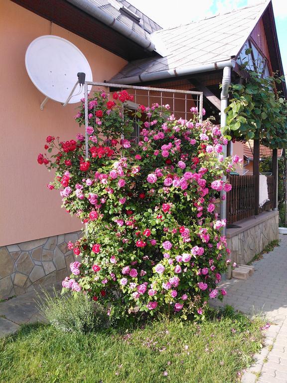 Valentin Vendeghaz Hotel Балатонлеле Екстериор снимка