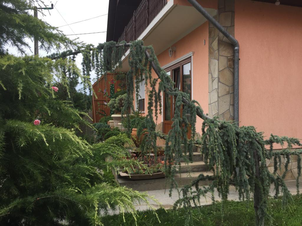 Valentin Vendeghaz Hotel Балатонлеле Екстериор снимка